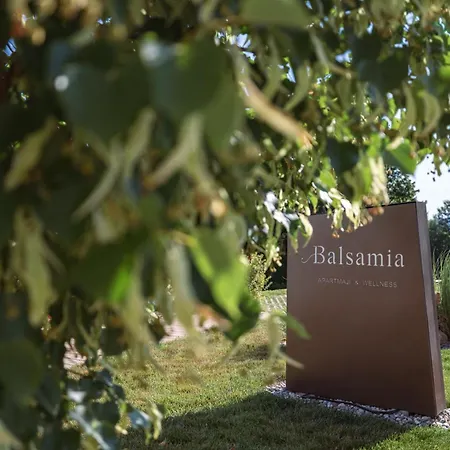 公寓 Balsamia Boutique 博德森特克
